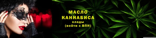 шишки Бородино